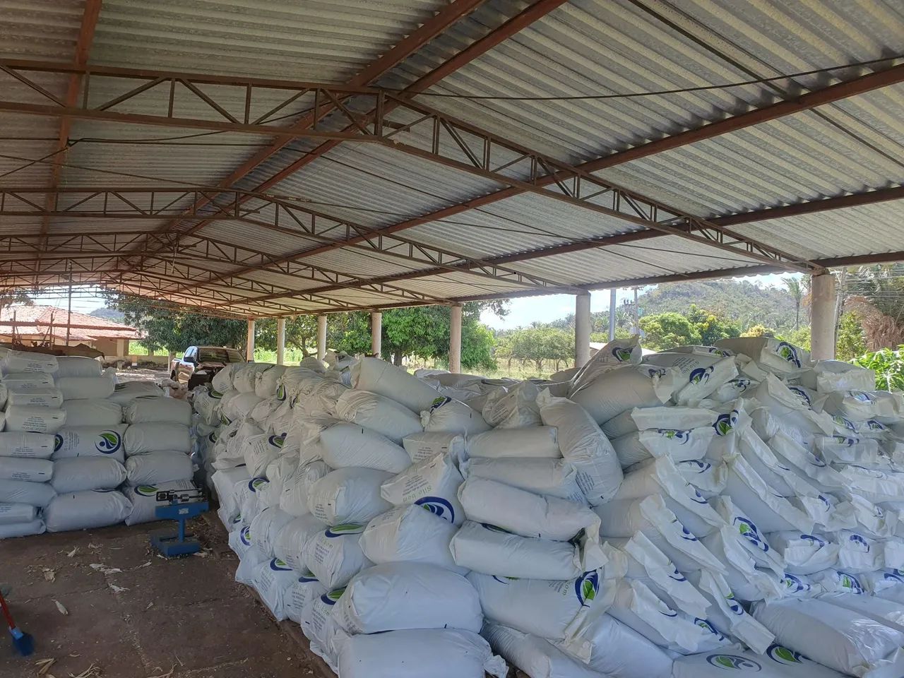 Silagem de alta qualidade  - Foto 2