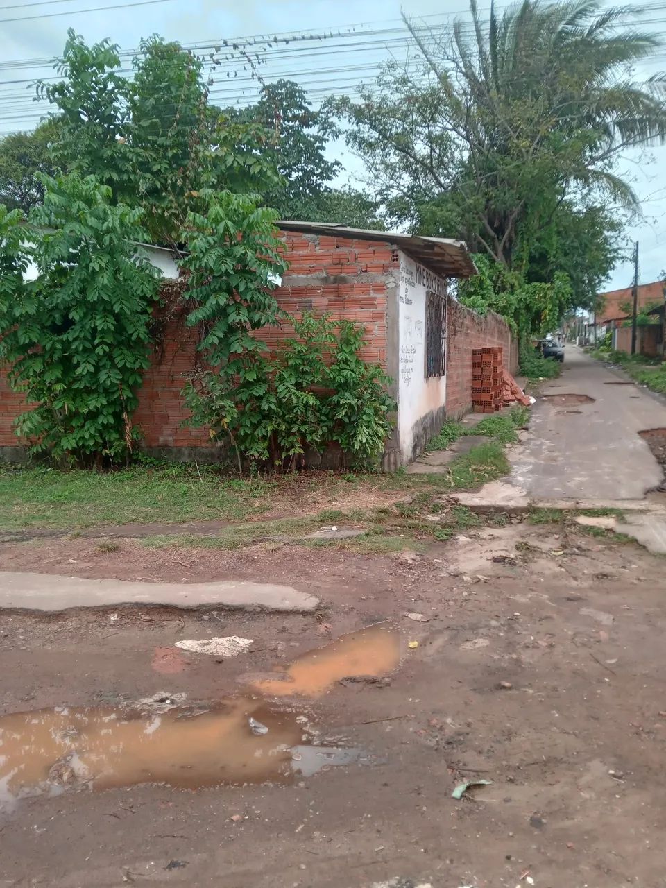 Terreno no parque araçagy  - Foto 2