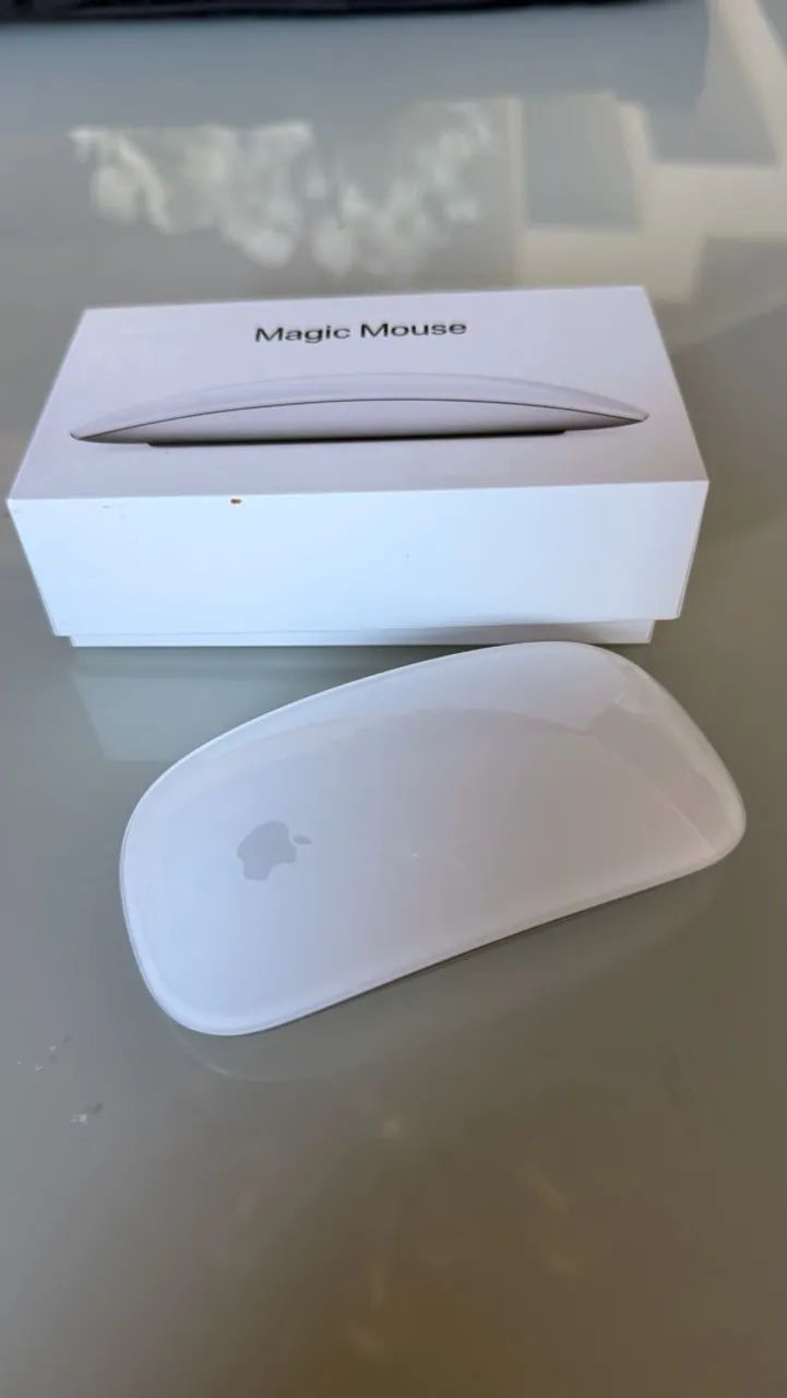 Magic Mouse (Mouse Apple)