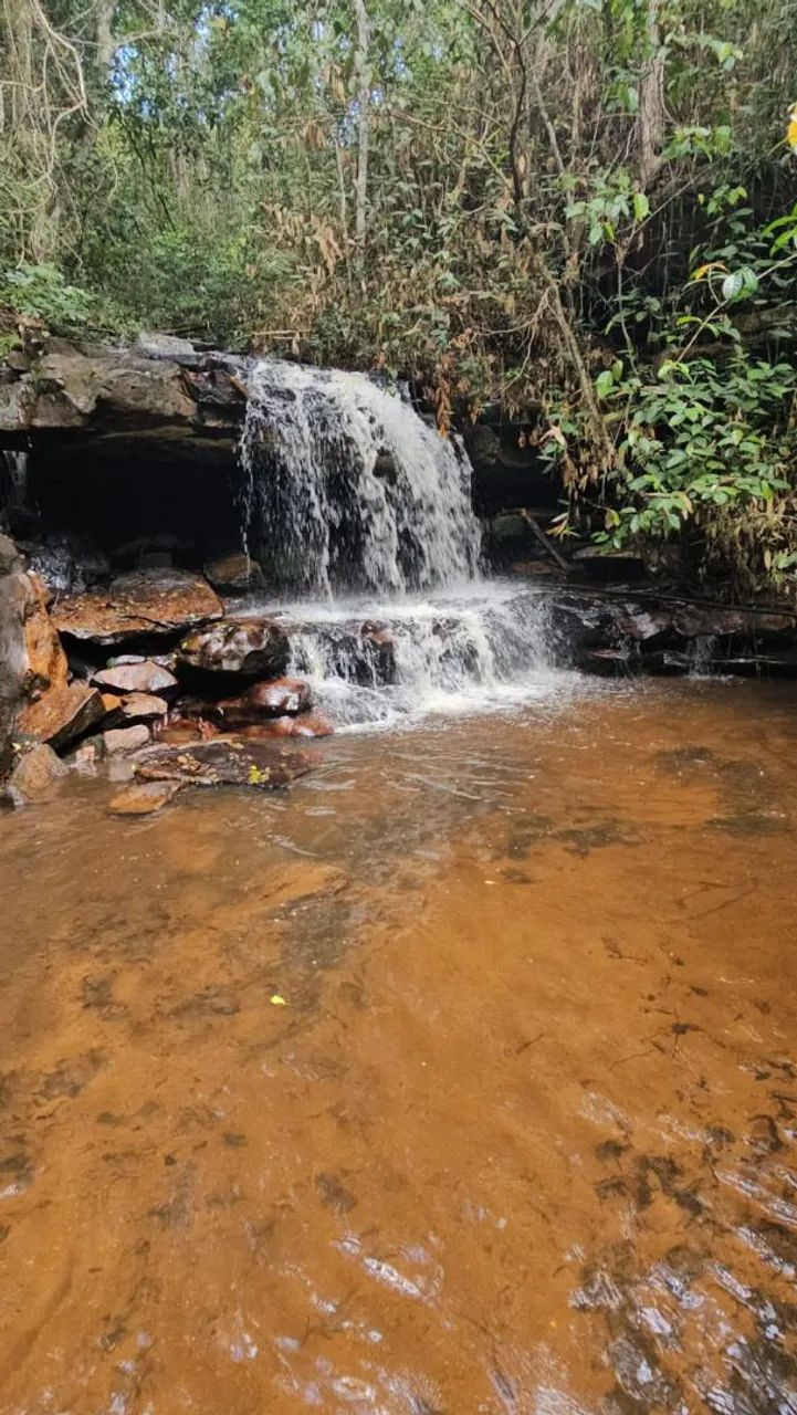 Fazenda Rio Doce  - Foto 2
