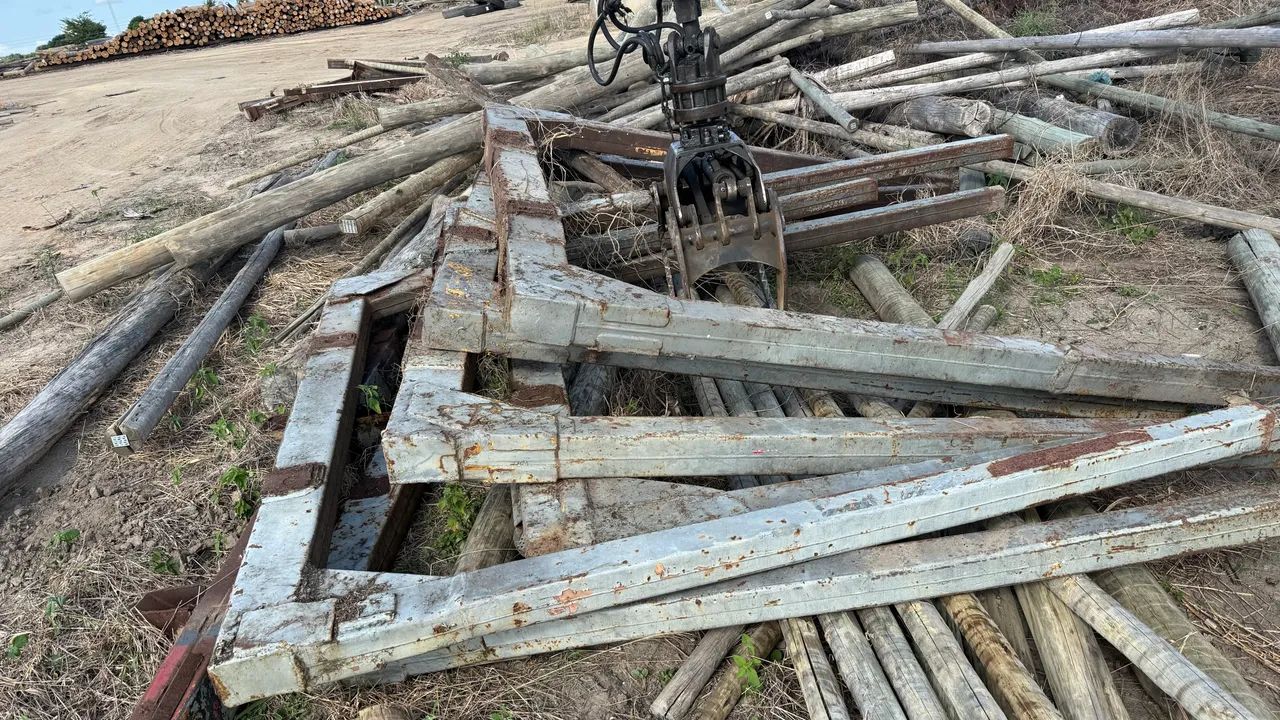 Fueiro florestal - Foto 4