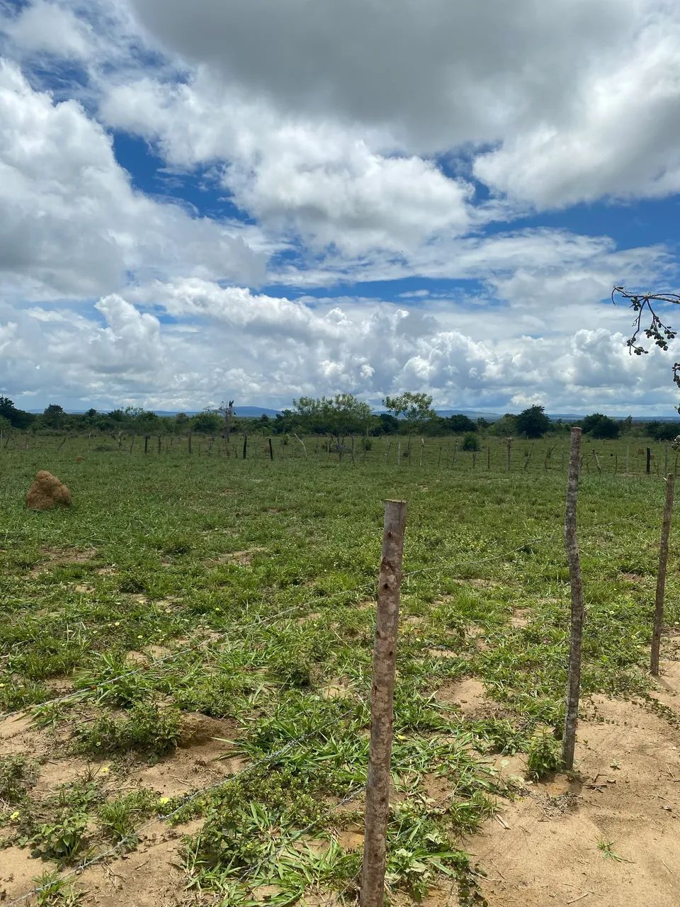 Terreno para sítio  - Foto 3