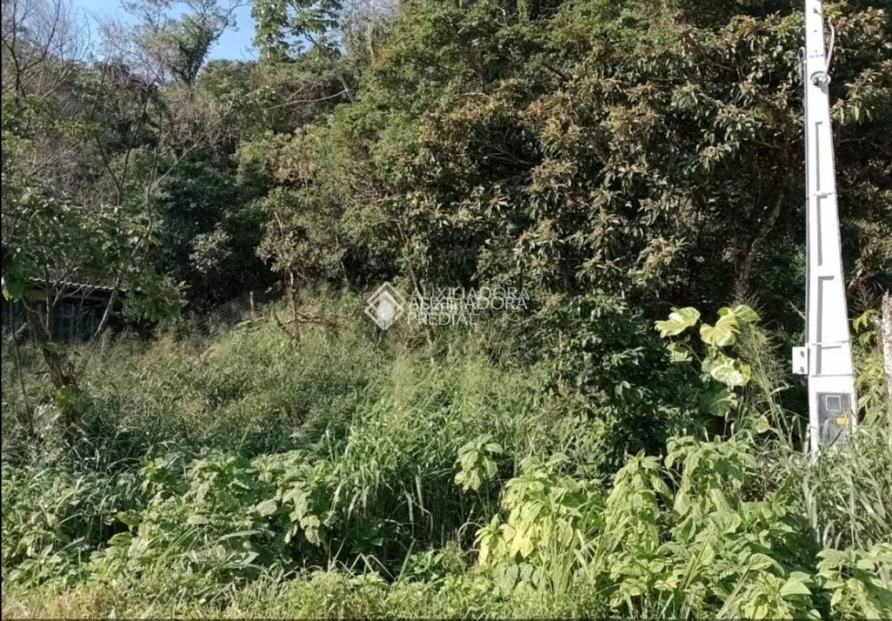 Terreno para vender na Armação, Viabilidade de Construção, Florianópolis