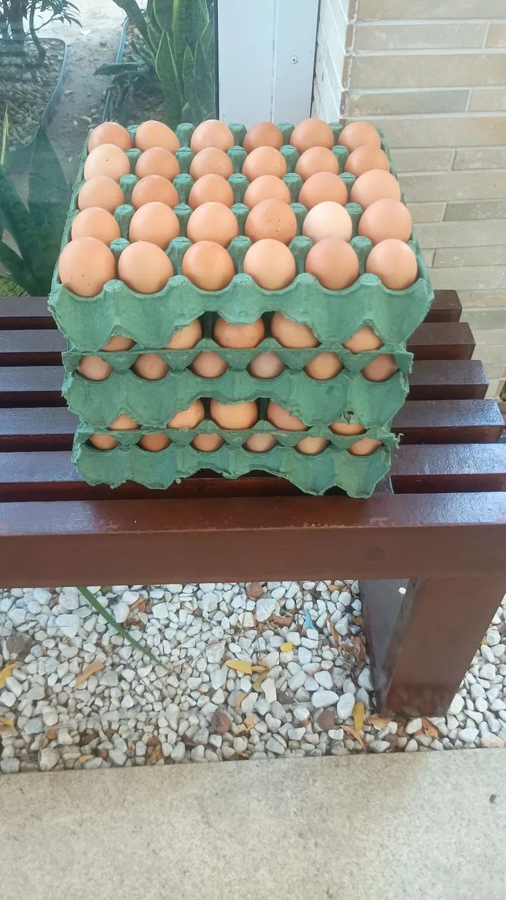 Ovos Caipira  - Foto 2