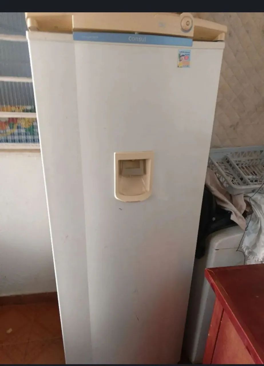 Geladeira 110v
