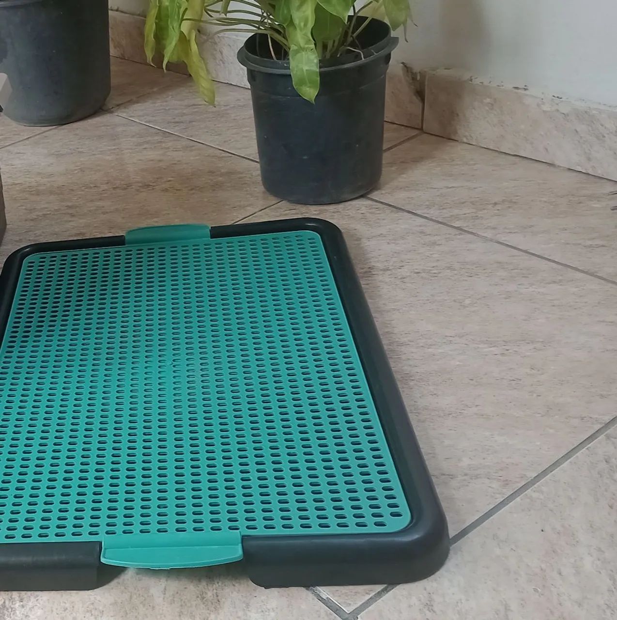 Kit Pet  - Foto 4