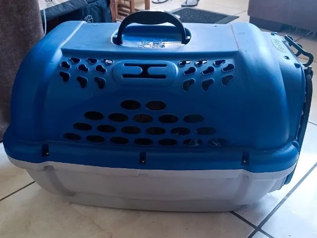 Casinha de cachorro 