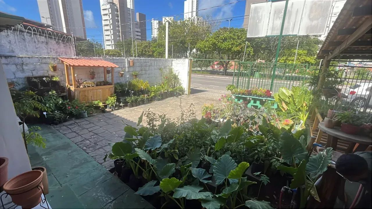 Repasse Loja de Plantas em Ponta Negra - Natal - RN - Foto 2