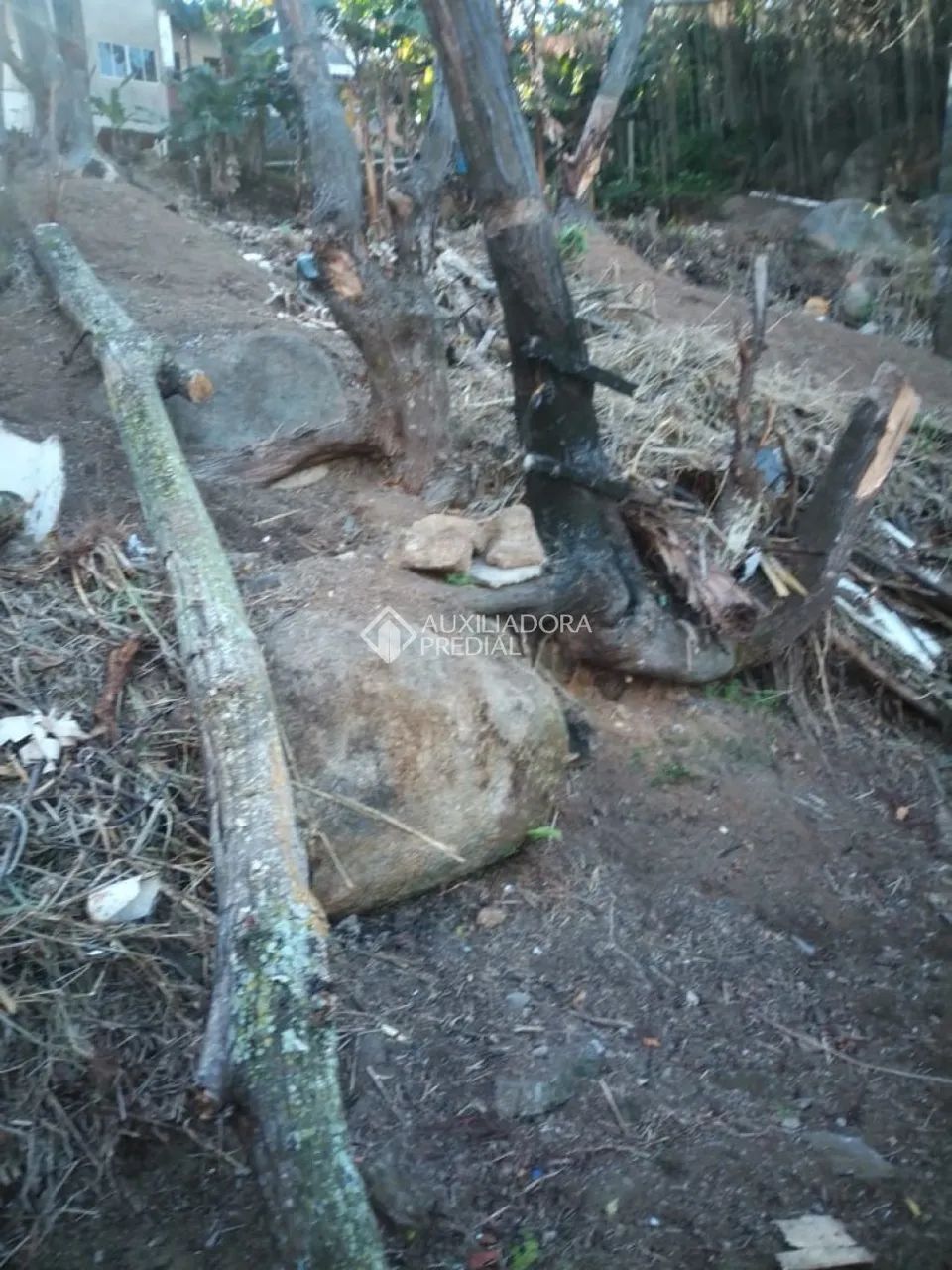 Terreno no Saco Grande com 480m² - Foto 4
