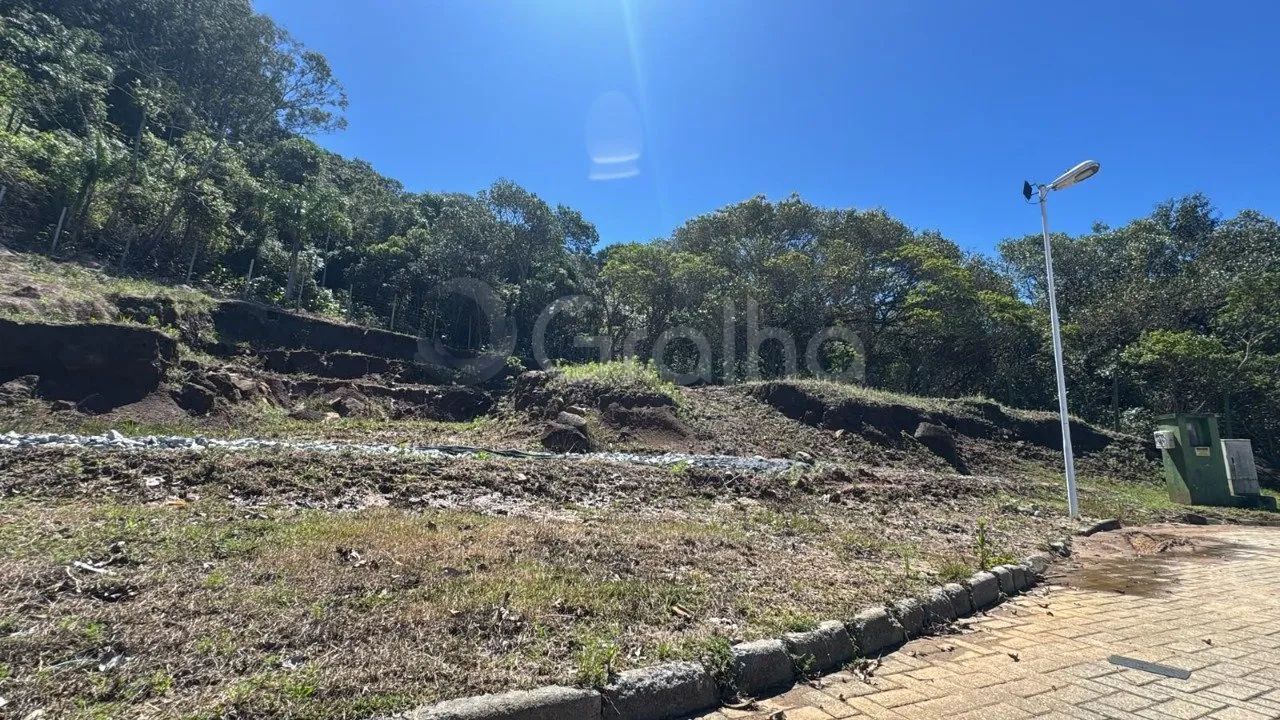 Terreno de 2481,95m² nos ingleses - Foto 4