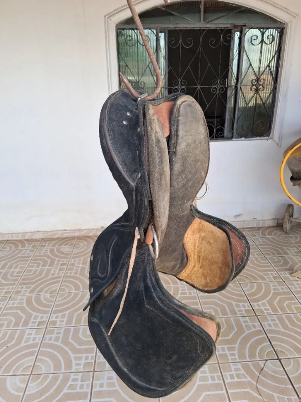Cela para vaquejada  - Foto 5