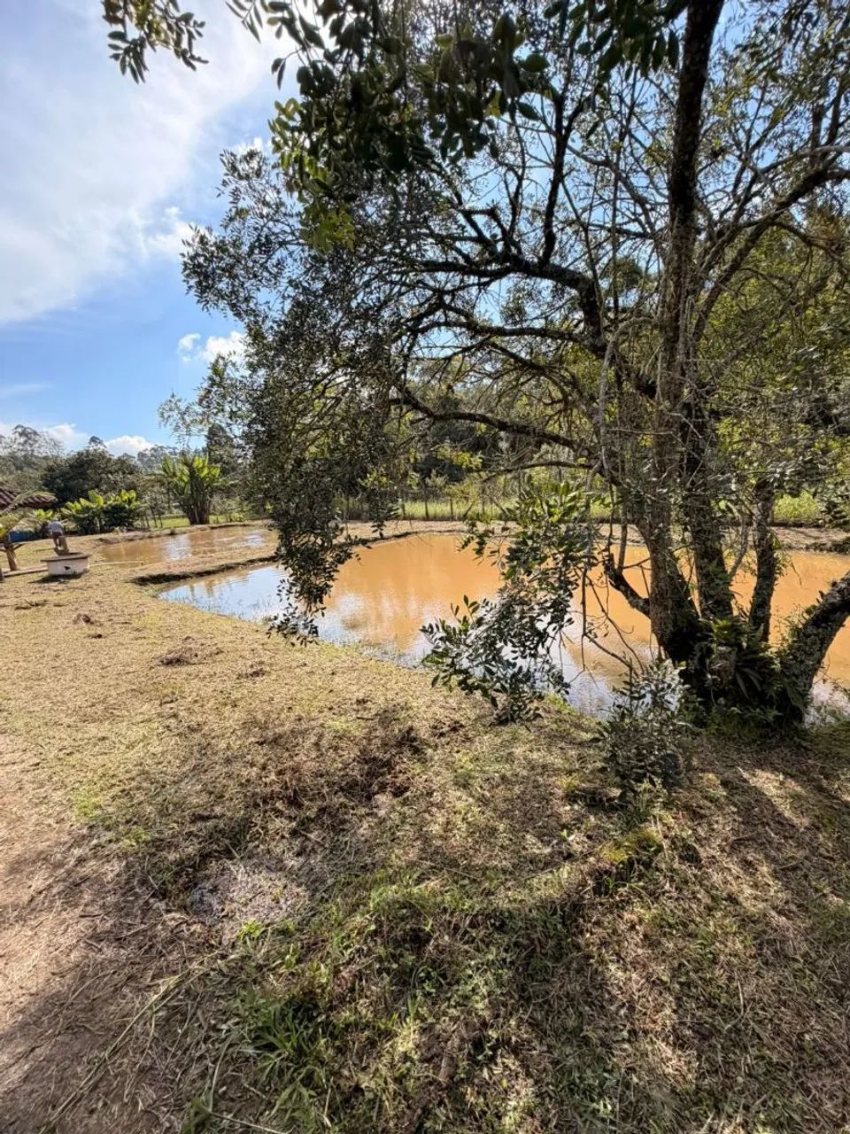 Chácara a venda  - Foto 5