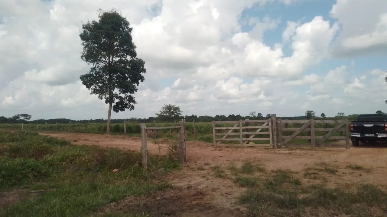 Fazenda em Santa Maria 