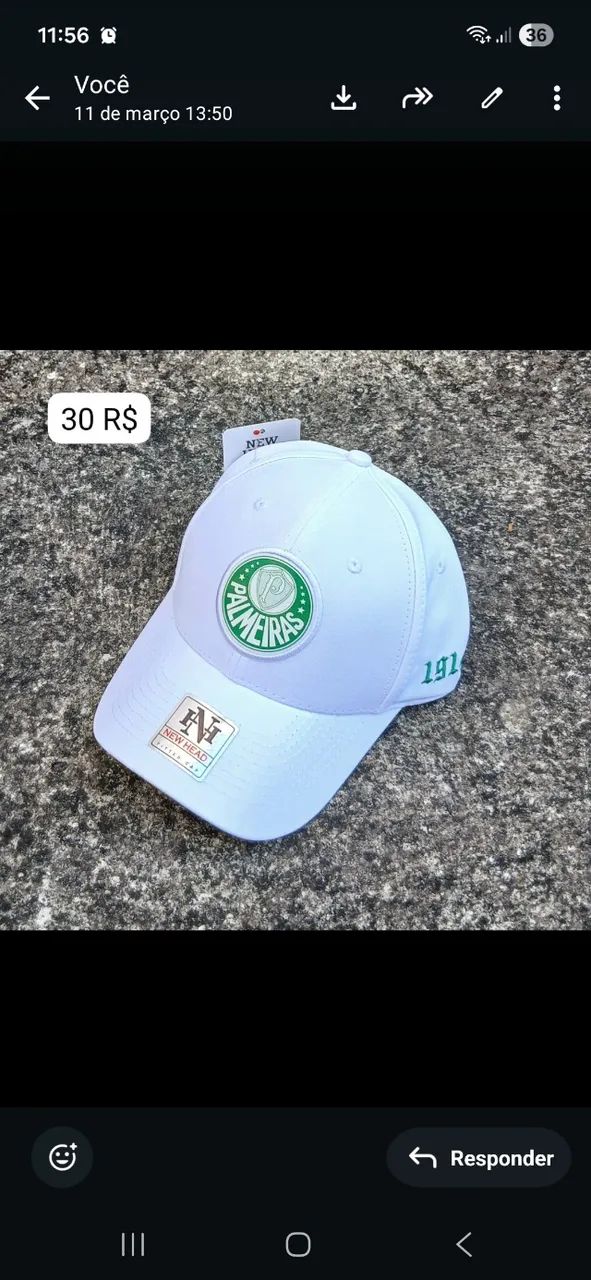 Boné do Palmeiras 