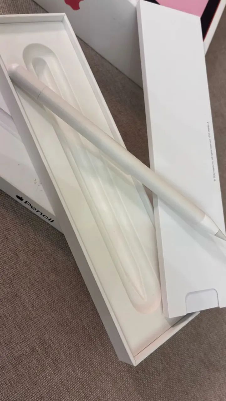 Apple Pensil (USB-C) - Foto 3