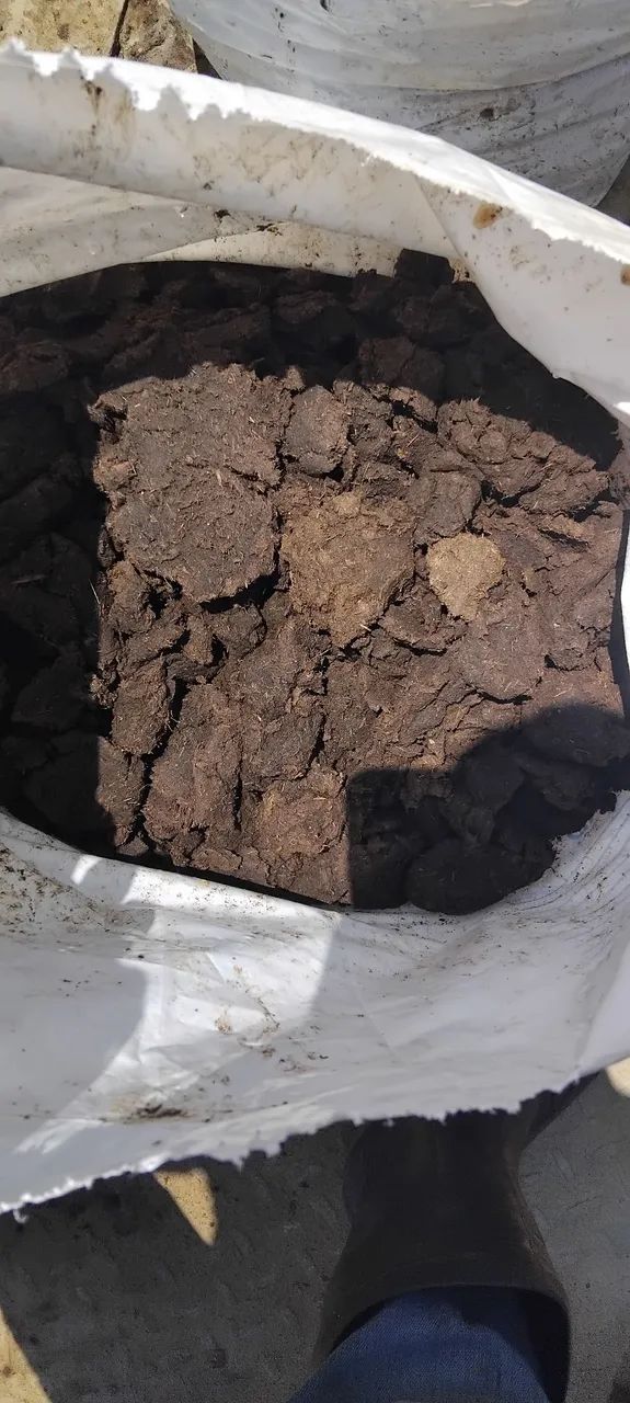 Adubo de boi  - Foto 2