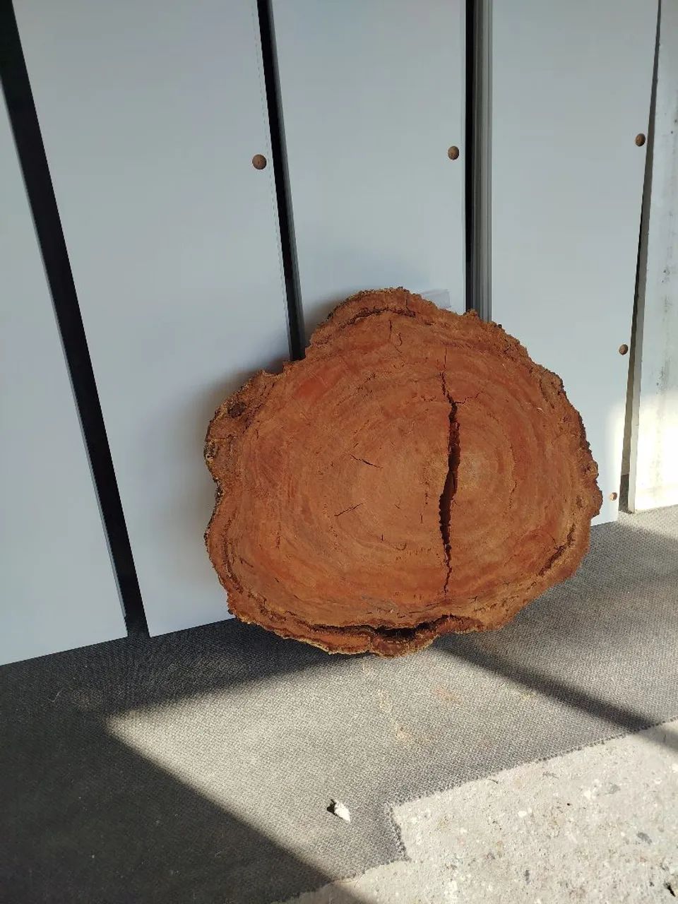 Bolacha de peroba - Foto 4