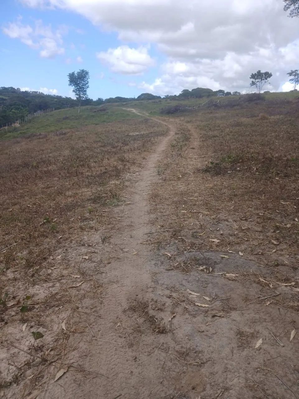 Vendo 30 hectares de terras no Fundão  - Foto 2