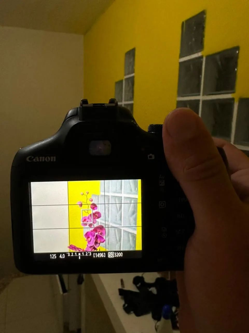Câmera Canon T7 - Foto 2
