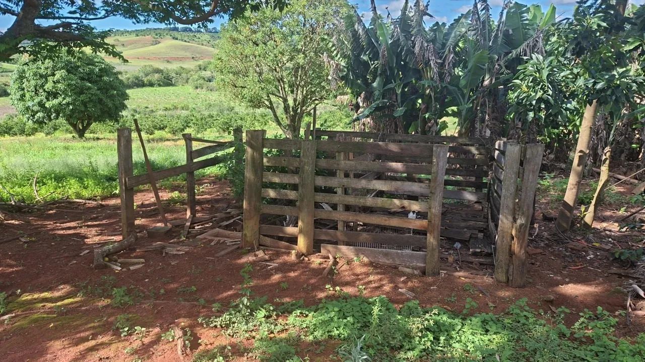 Sítio  5 alqueires em Campanha MG  - Foto 3
