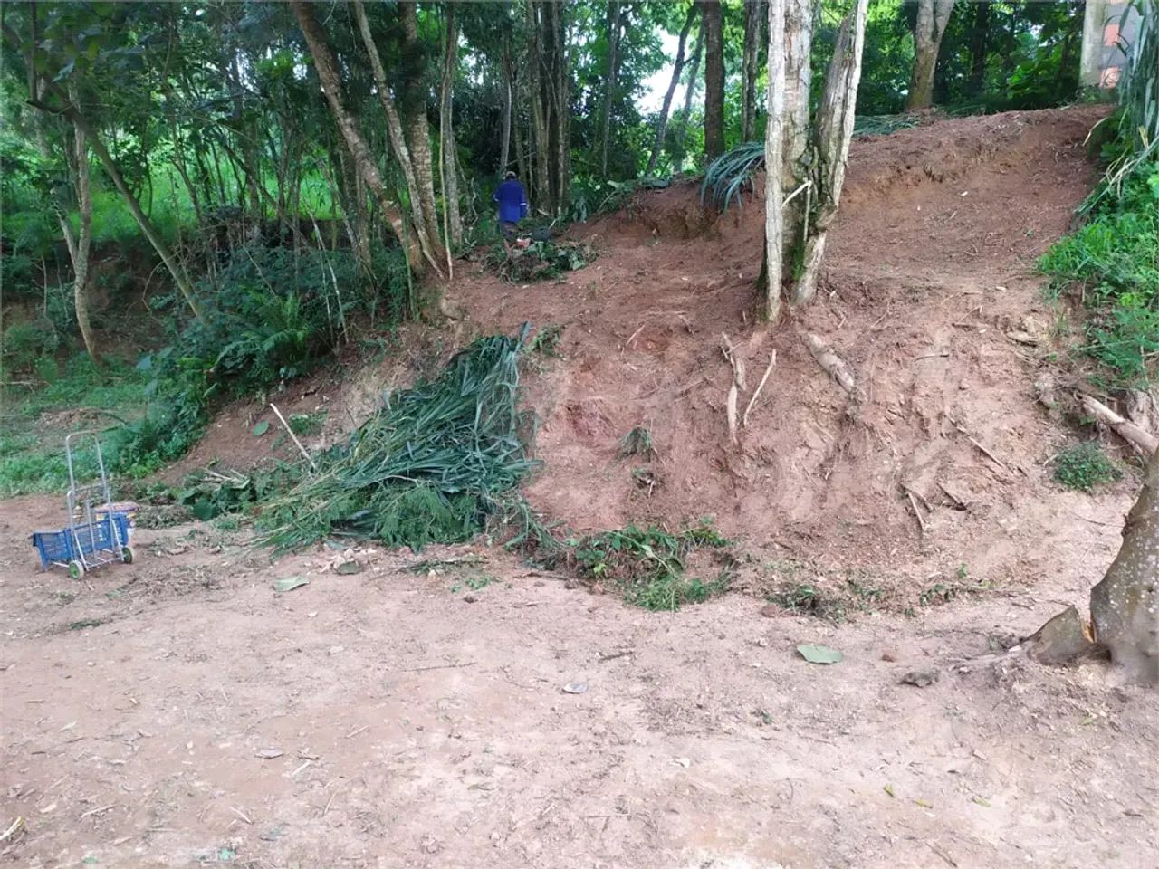 Terreno de 4050m² a Venda - Mogi das Cruzes - SP - Foto 3