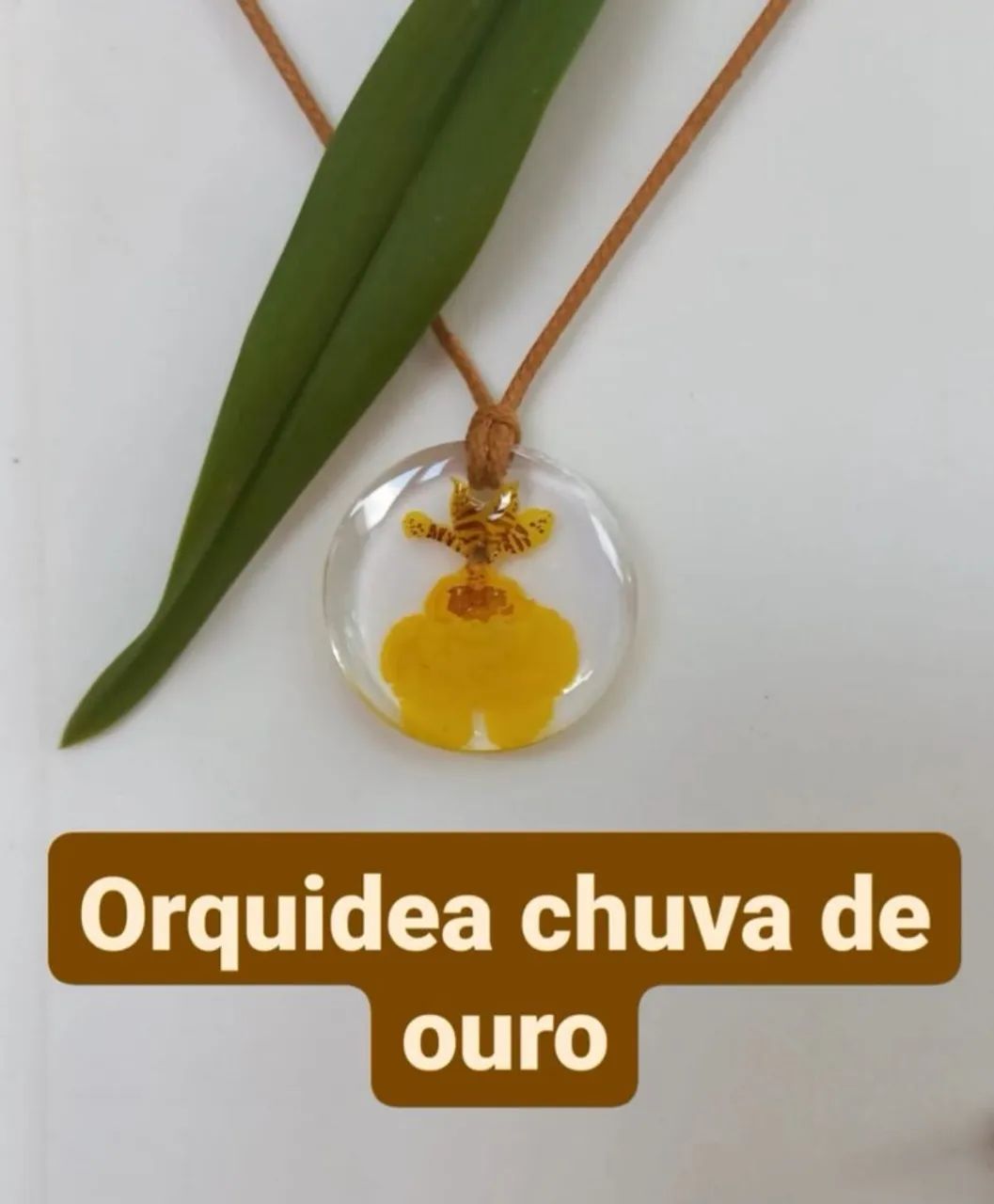 Joias botânicas  - Foto 2