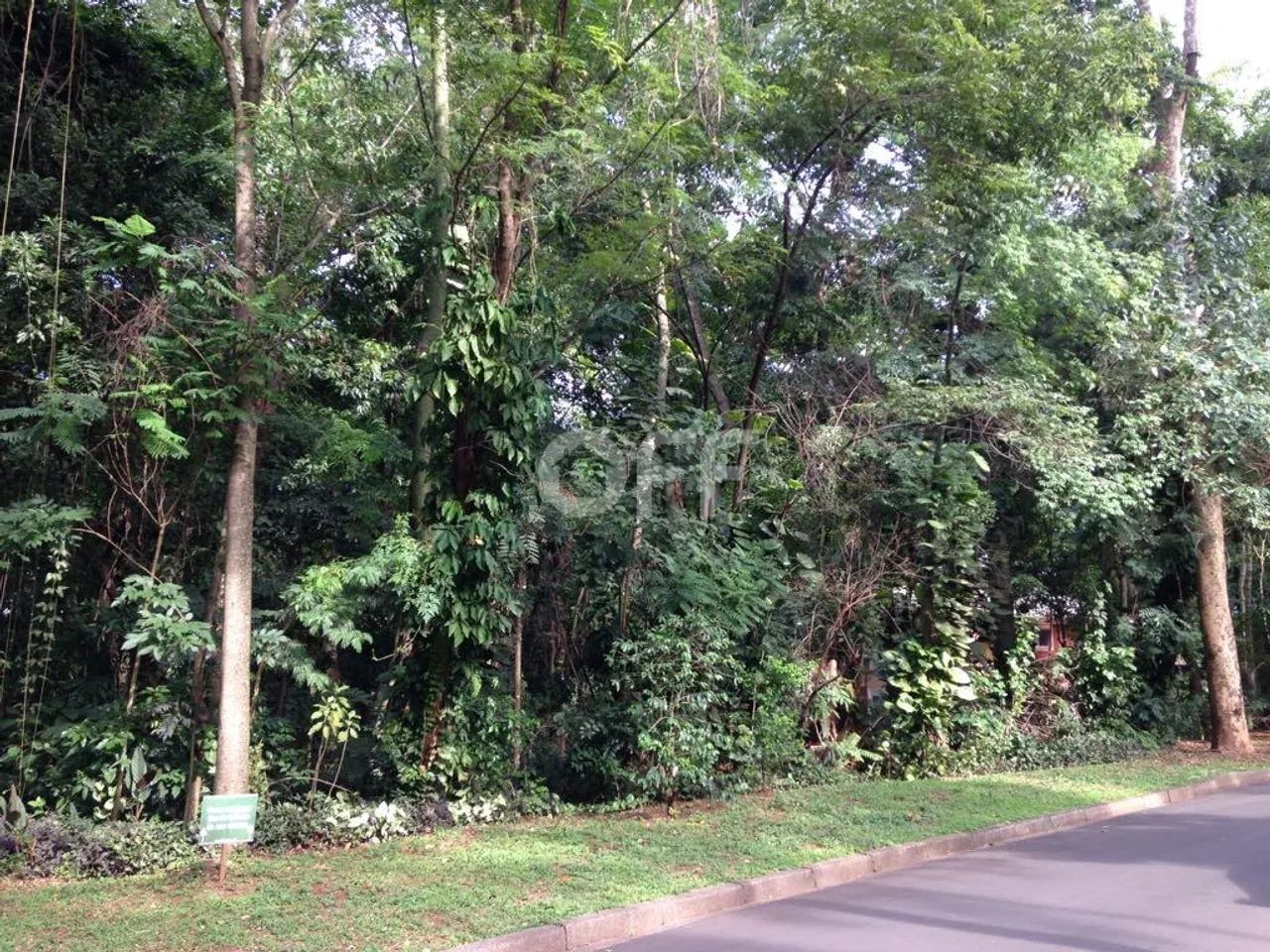 terreno - Parque Sao Quirino - Campinas - Foto 5