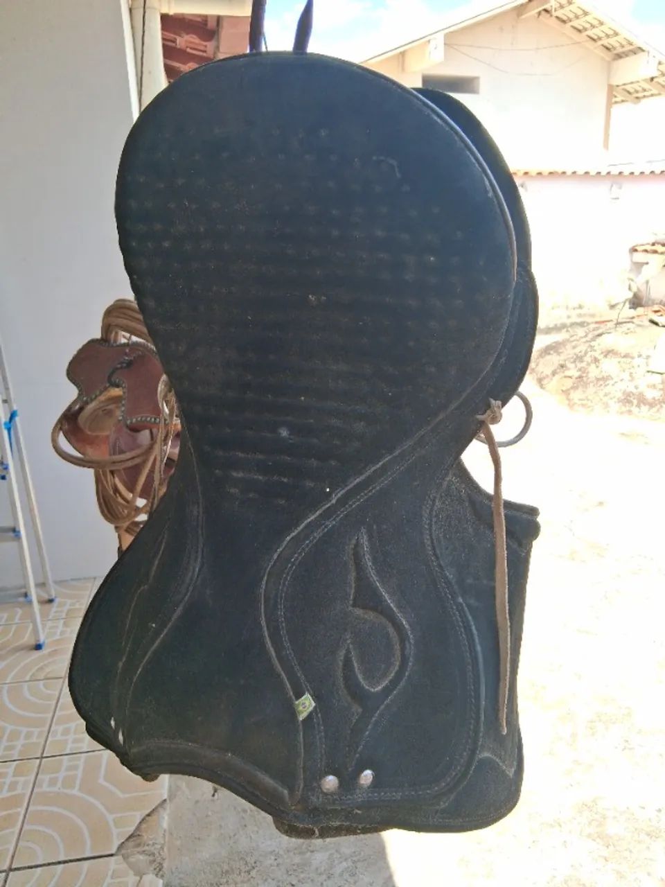 Cela para vaquejada  - Foto 4