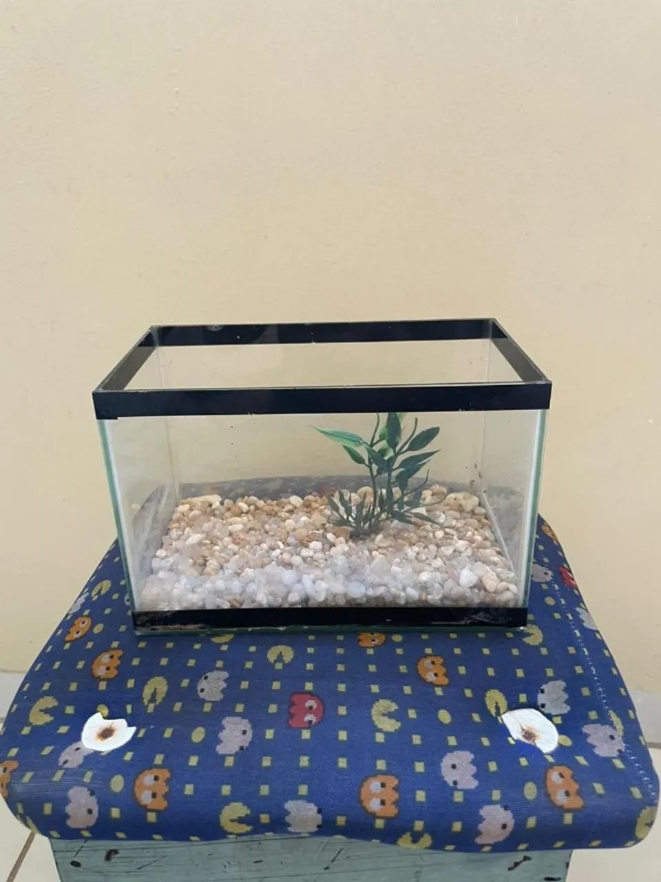 2 aquários - Foto 3