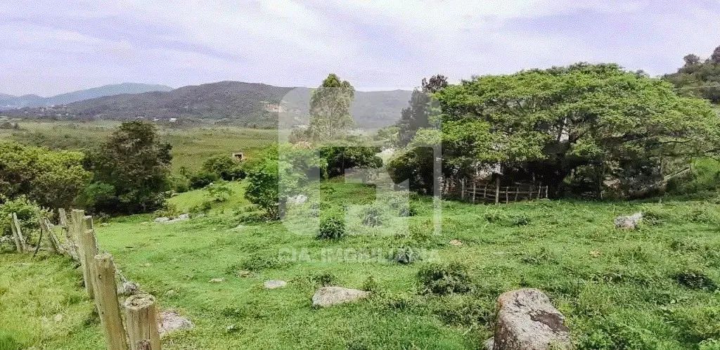 Terreno à venda no Sambaqui - Foto 5