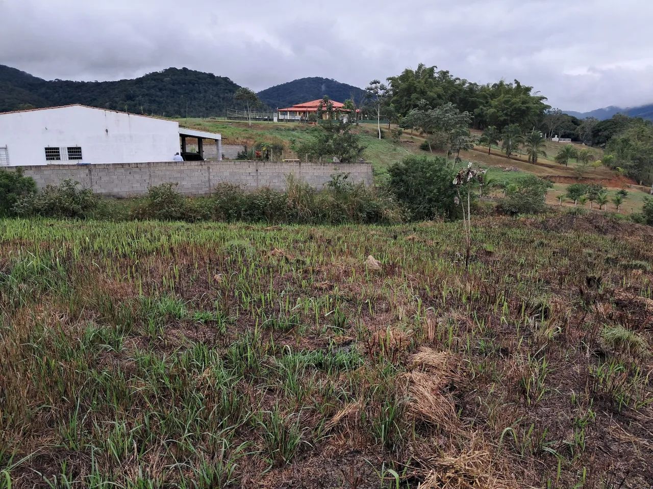 chácara e terrenos Pedro toledo - Foto 5