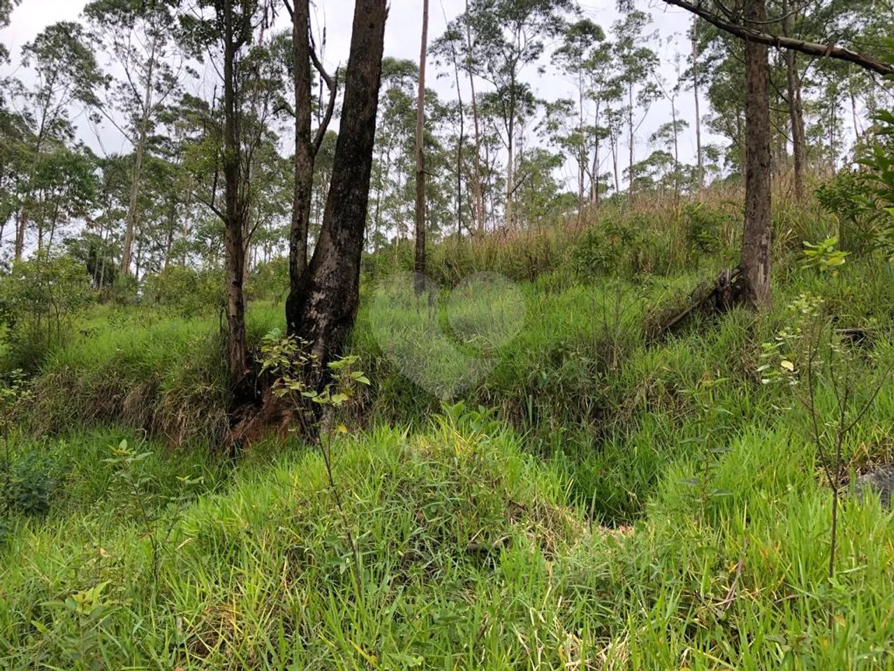 Terreno à venda em Barreiro - SP