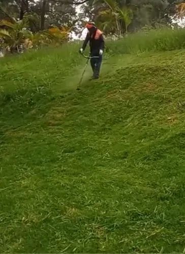 Serviço de jardinagem  - Foto 2