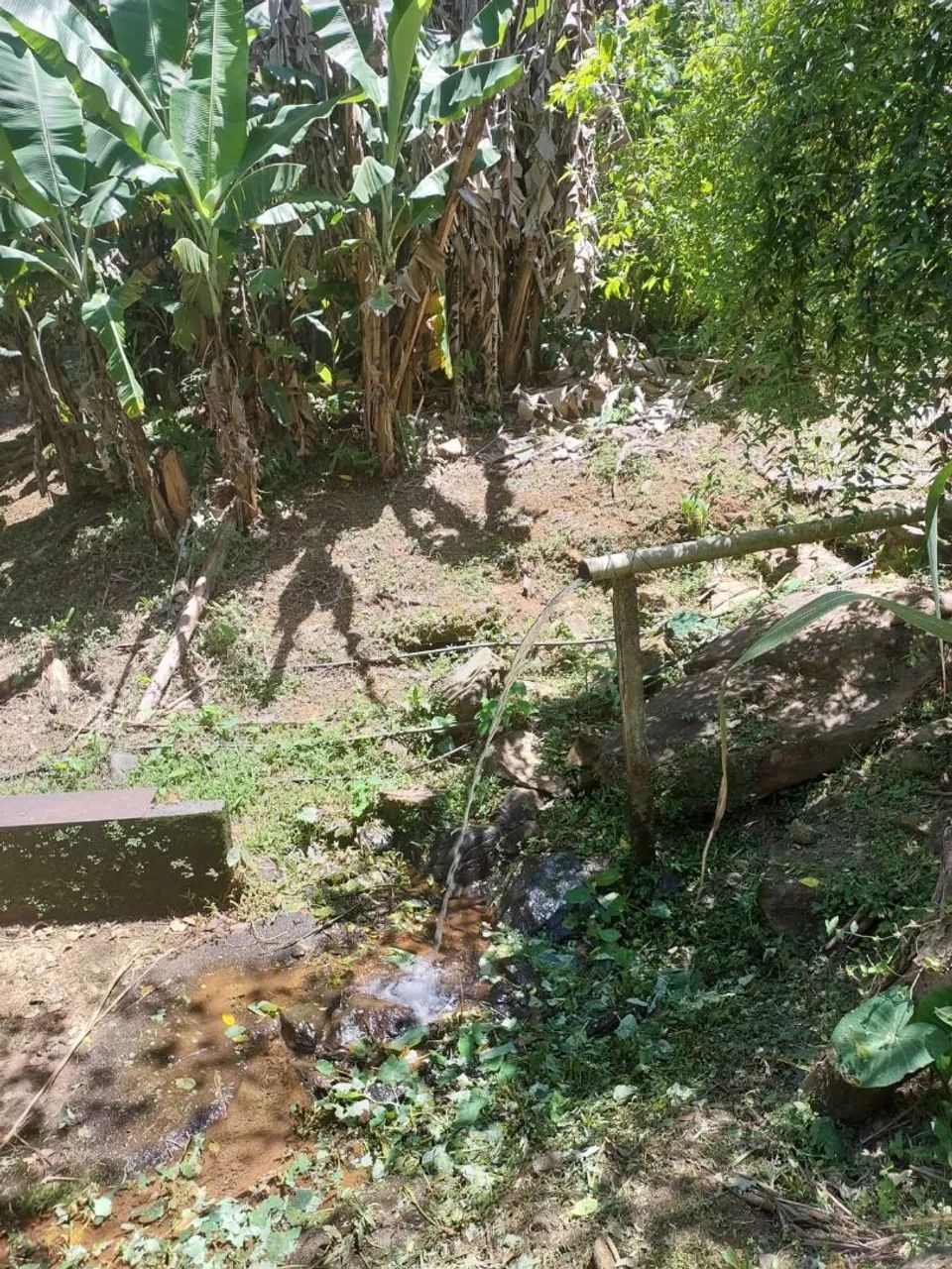 Foto - Guarulhos - Jardim Paraíso