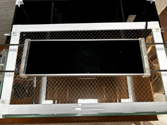 Aquário Marinho para iniciantes - Foto 3