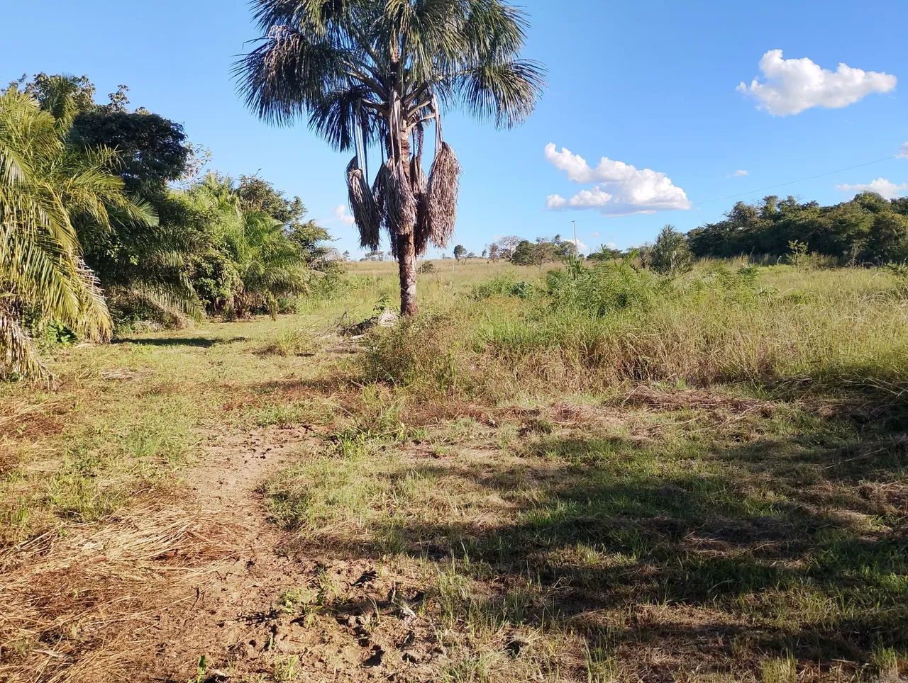 Vende-se uma 8 alqueire  - Foto 2