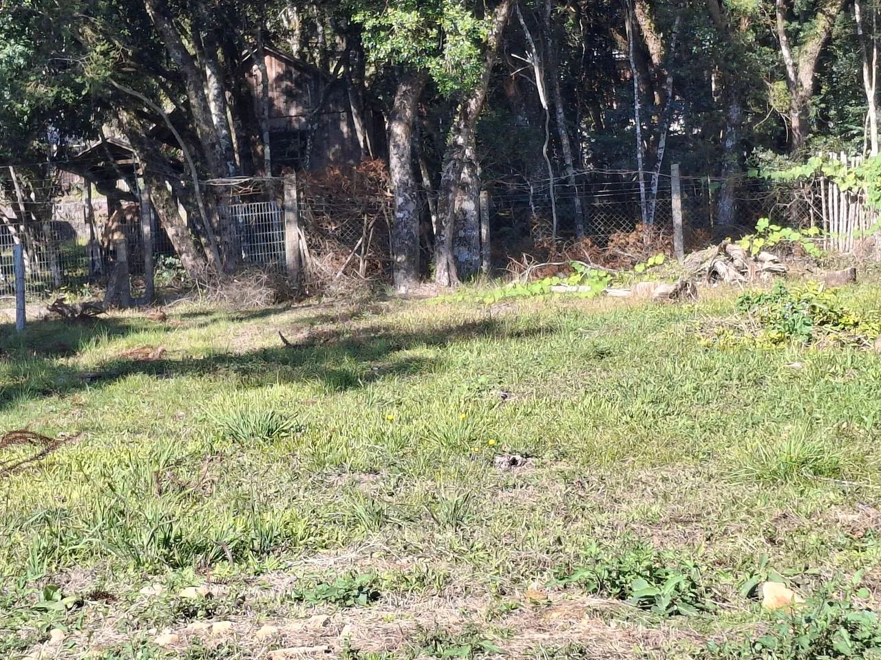 Terreno  - Foto 2