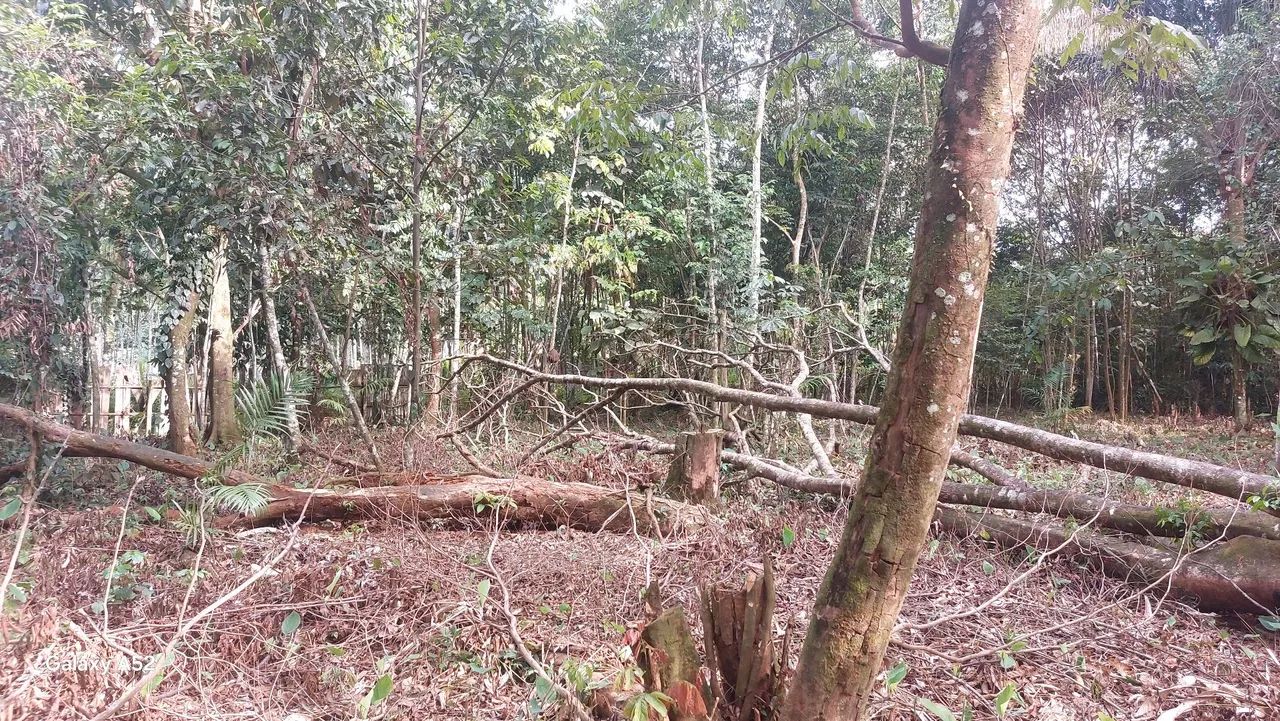 TERRENO CAIÇAUA - Foto 5