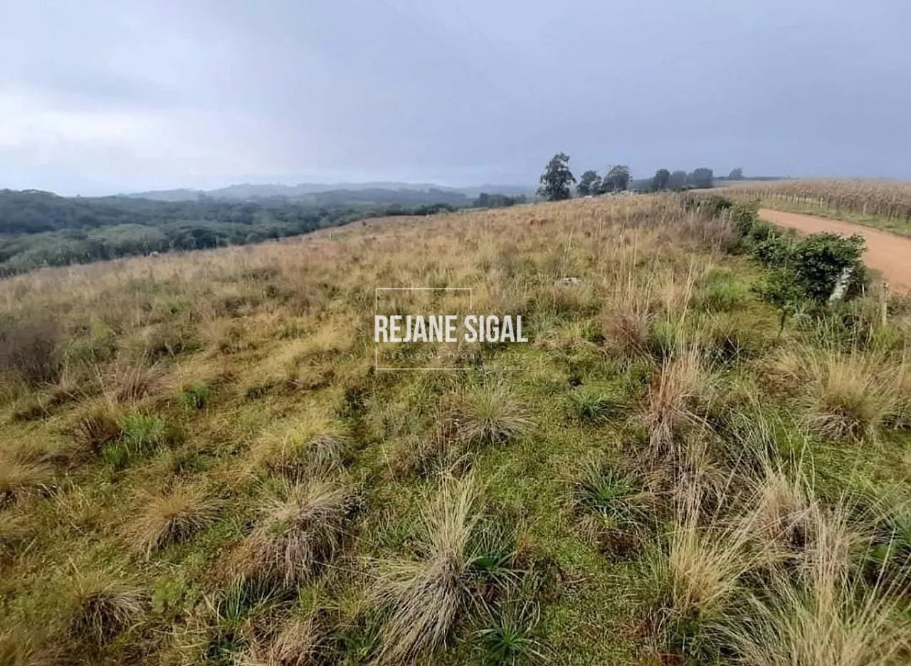 Propriedade rural em Cerrito - Foto 4
