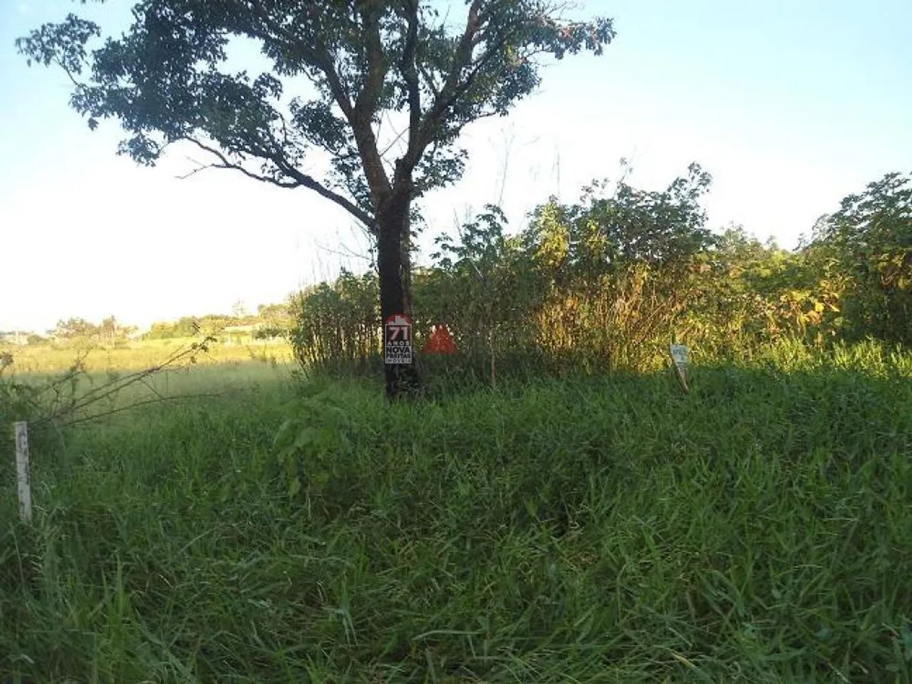 Terreno Padrão em Pindamonhangaba - Foto 2