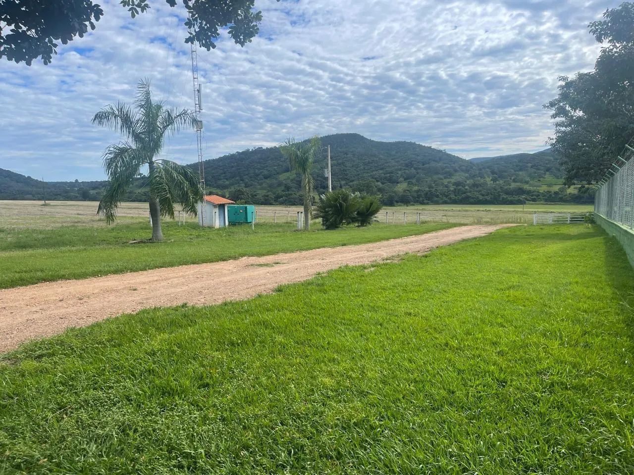 Fazenda de 62 Alqueires  - Foto 4