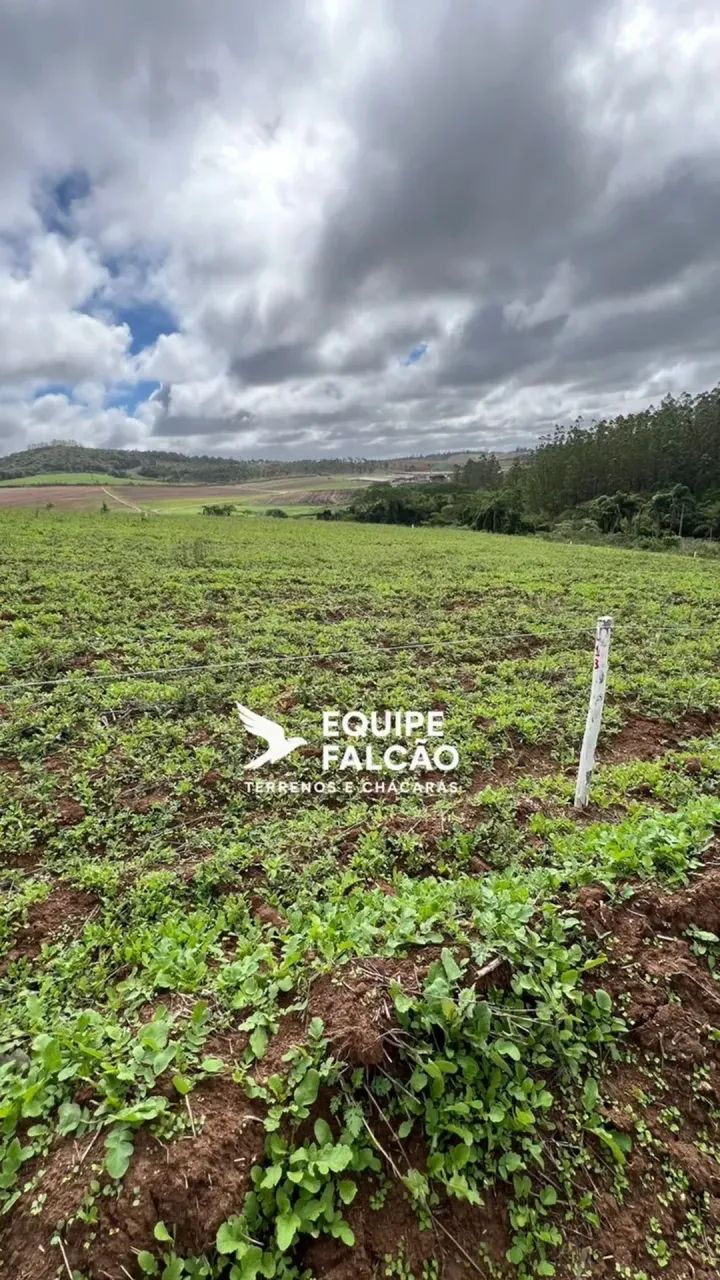 Venha vamos negociar compre seu terreno - Foto 4