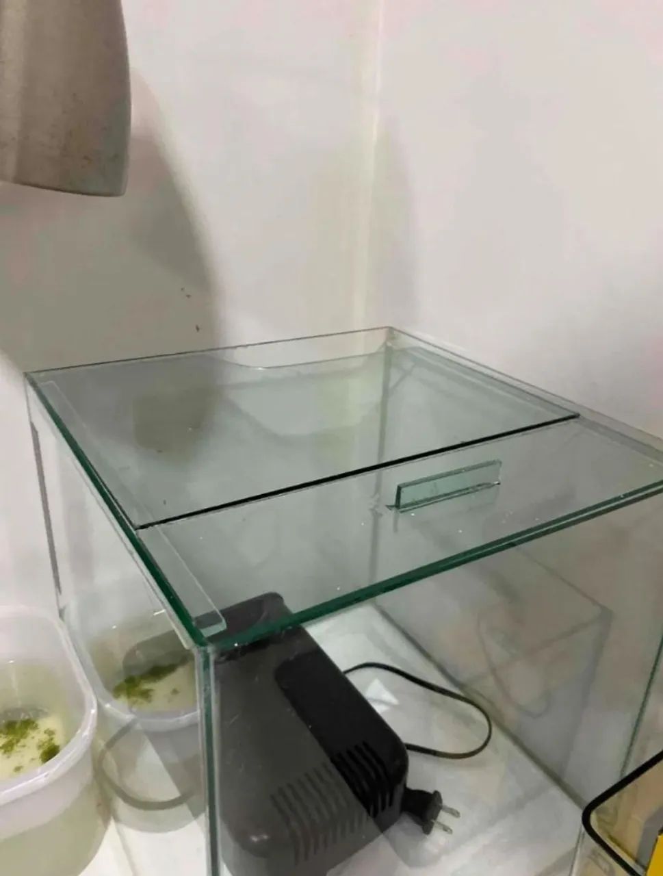 Aquário 27L c/ Tampa Em Ótimo Estado - Foto 5