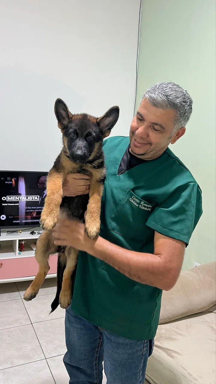 Veterinário a domicílio  - Foto 2