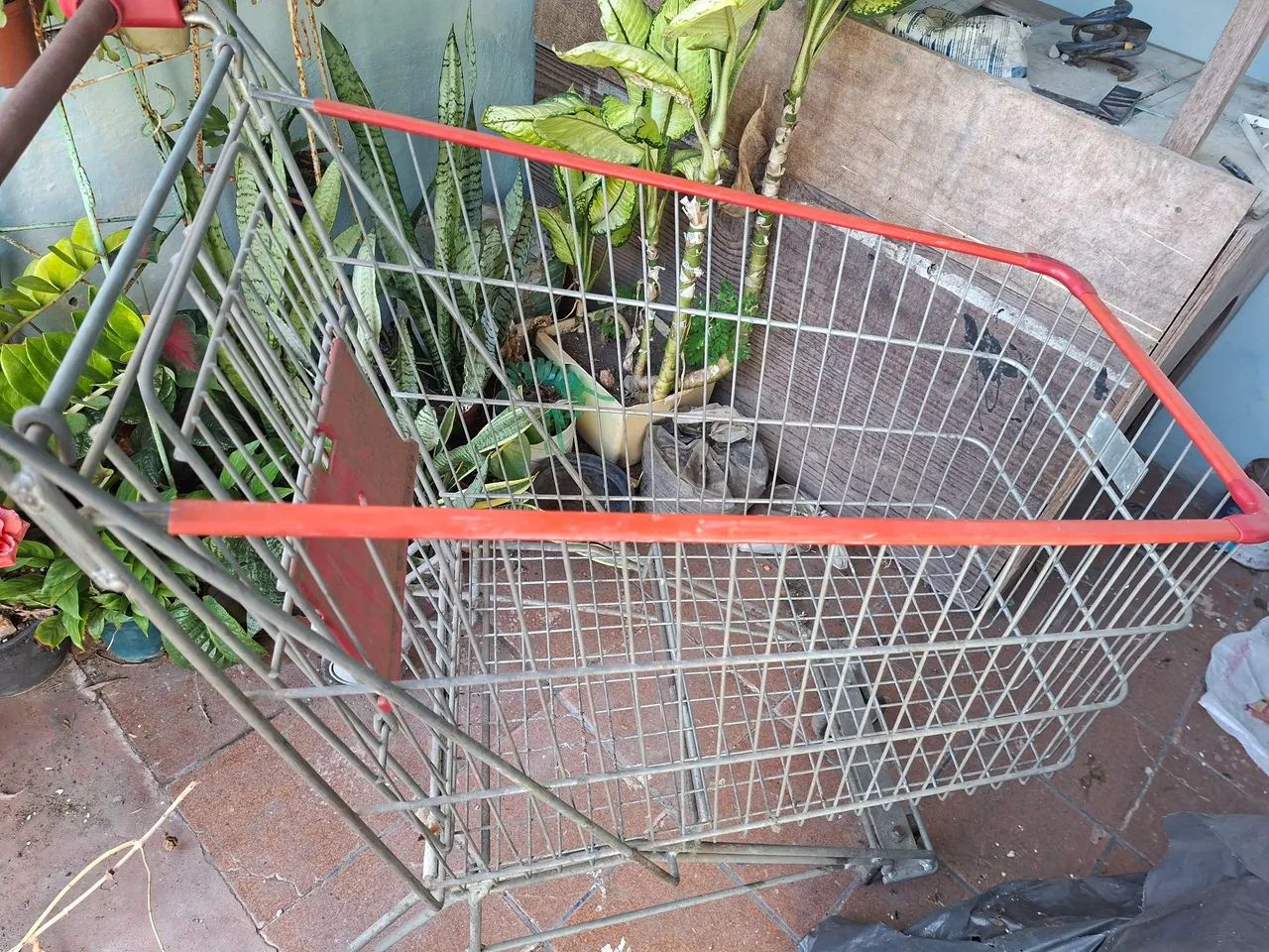 Carrinho de água de coco  - Foto 4