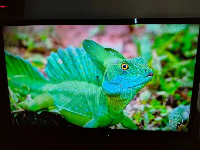 TV 32" Panasonic - Foto 2