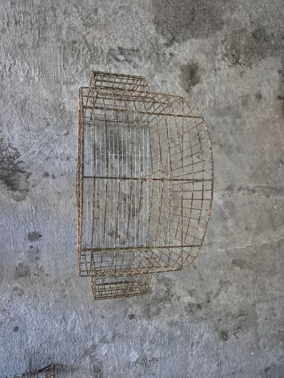 Gaiola - Foto 3