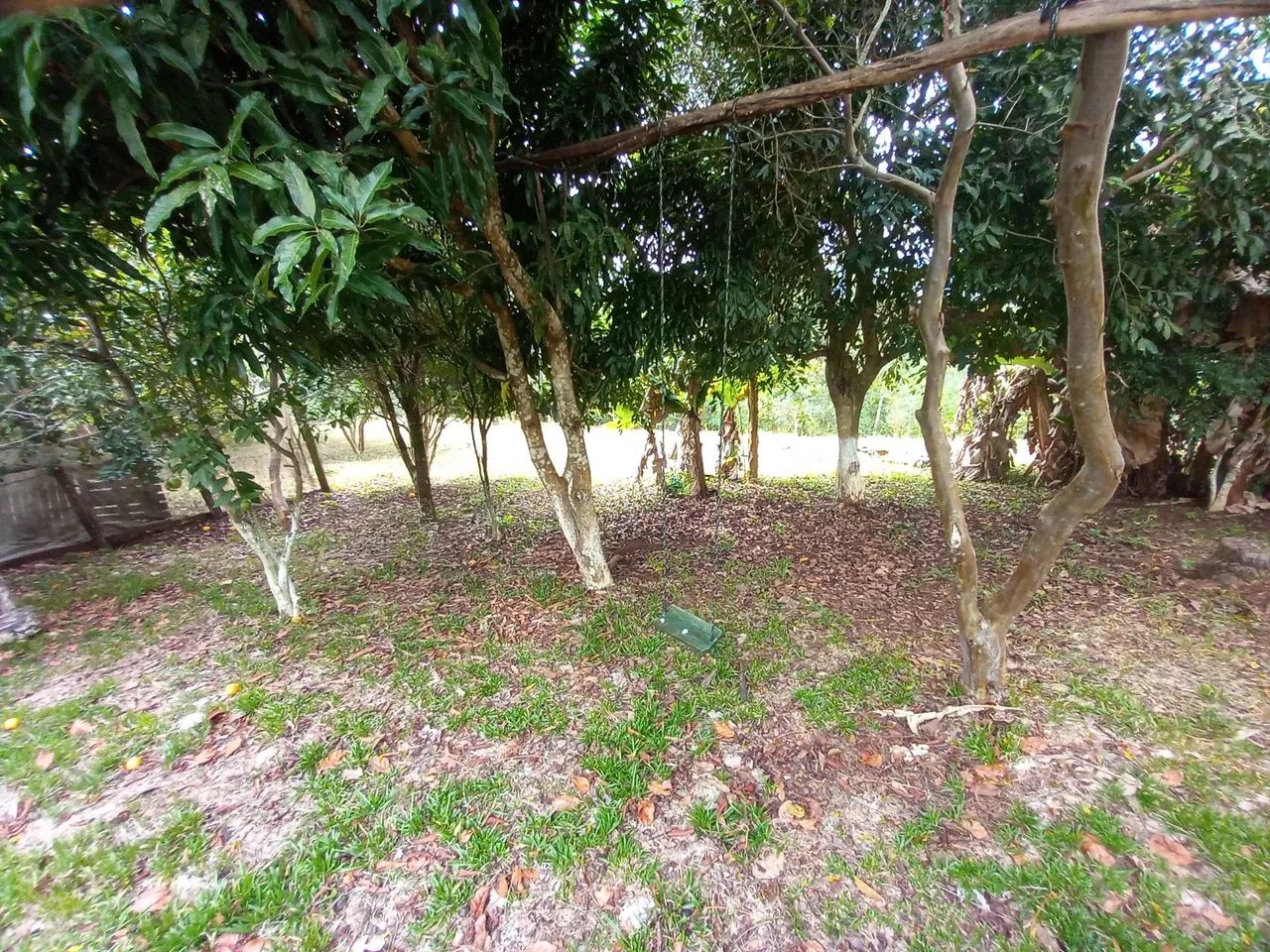 Ch ácara em Rio Branco do Sul  - Foto 2