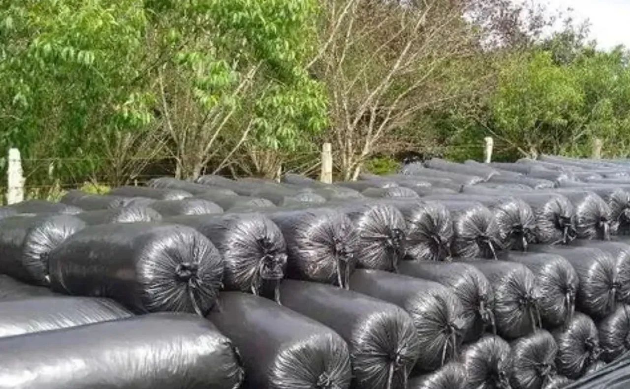 Silagem ensacada 20kg