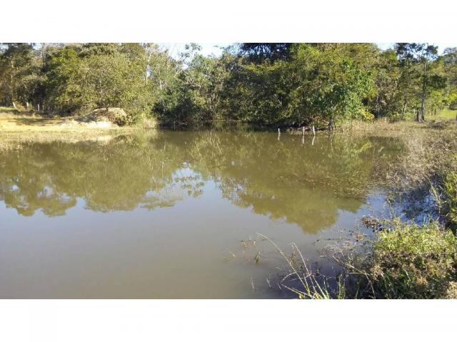 Chácara à venda em Zona rural, Pocone cod:20534 - Foto 14